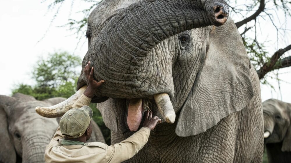 image_2026-01-06_131540878